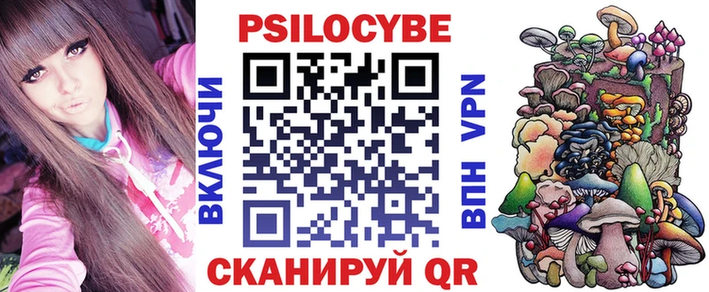 закладка  Юрьевец  Псилоцибиновые грибы Psilocybe 